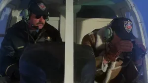 The Only Stephen King Movie To Ever Win an Oscar Is Leaving Netflix in Less Than 24 Hours