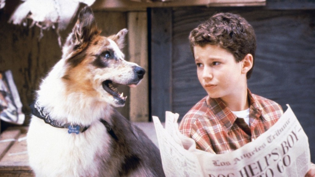 A still from the TV show 100 Deeds for Eddie McDowd