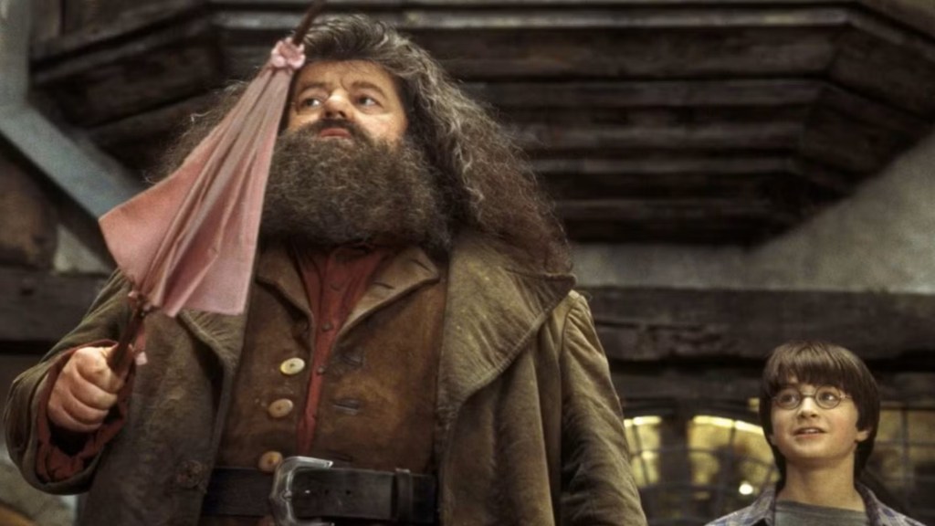 Hagrid with an umbrella and Harry in Harry Potter and the Sorcerer's Stone