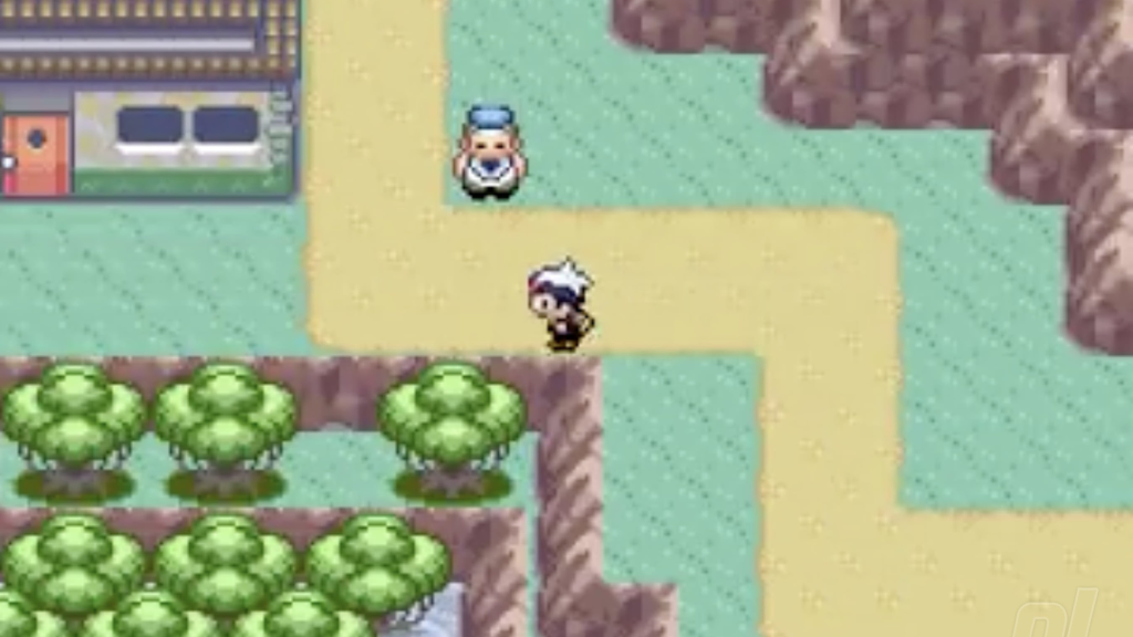 A screenshot from Pokémon Ruby on the Game Boy Advance.