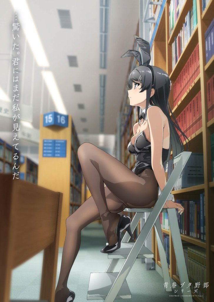 Rascal Does Not Dream of a Bunny Girl Senpai