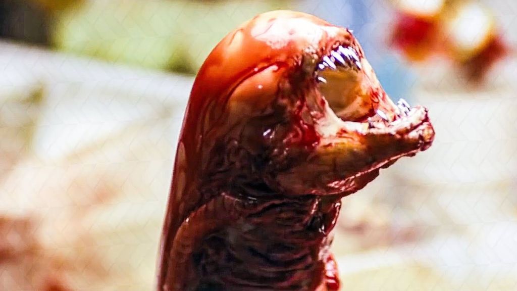 The xenomorph chestbuster in Alien