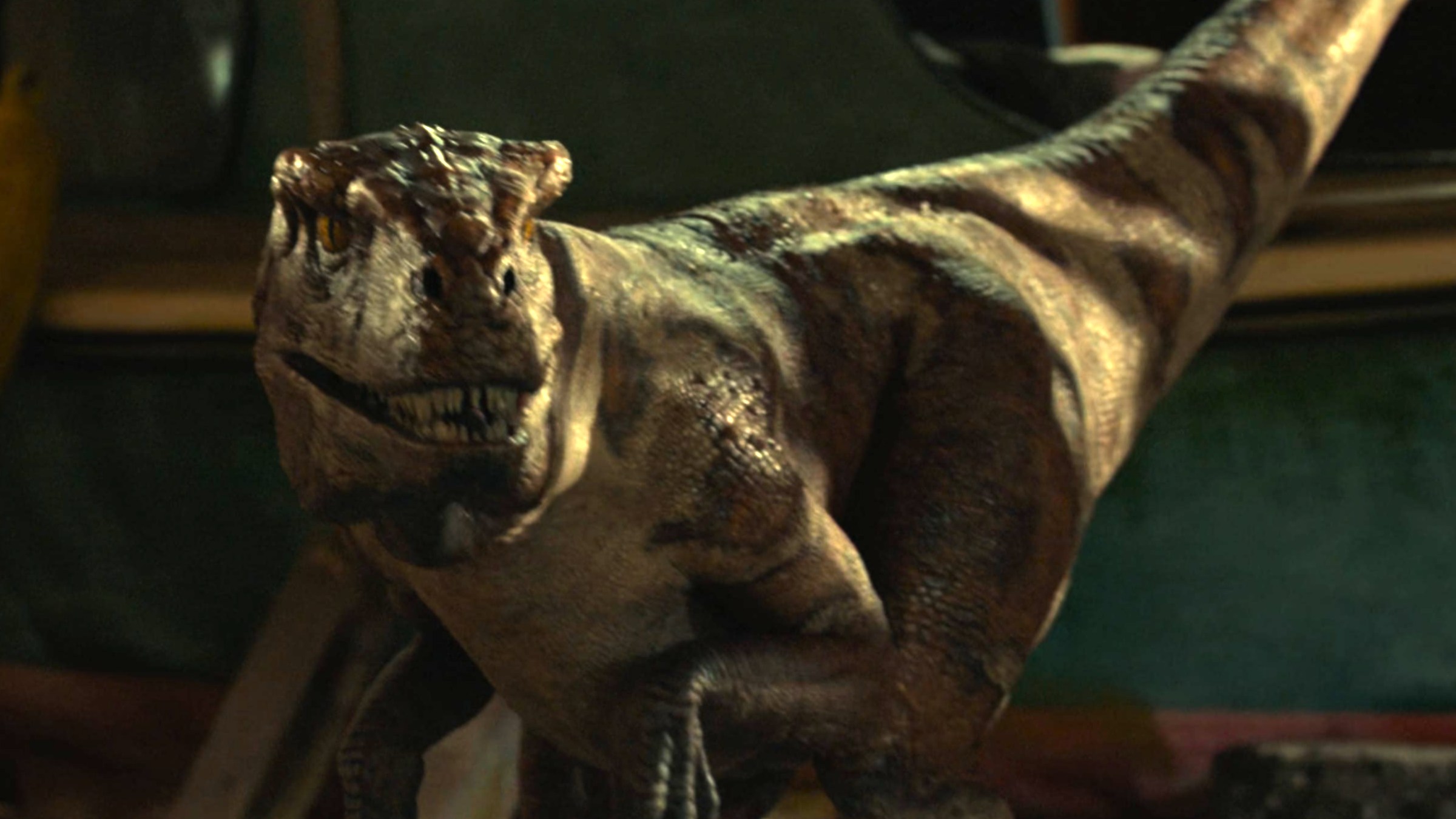 Strongest Raptor 10 Strongest Dinosaurs in the Jurassic Park Franchise, Ranked by Power ...