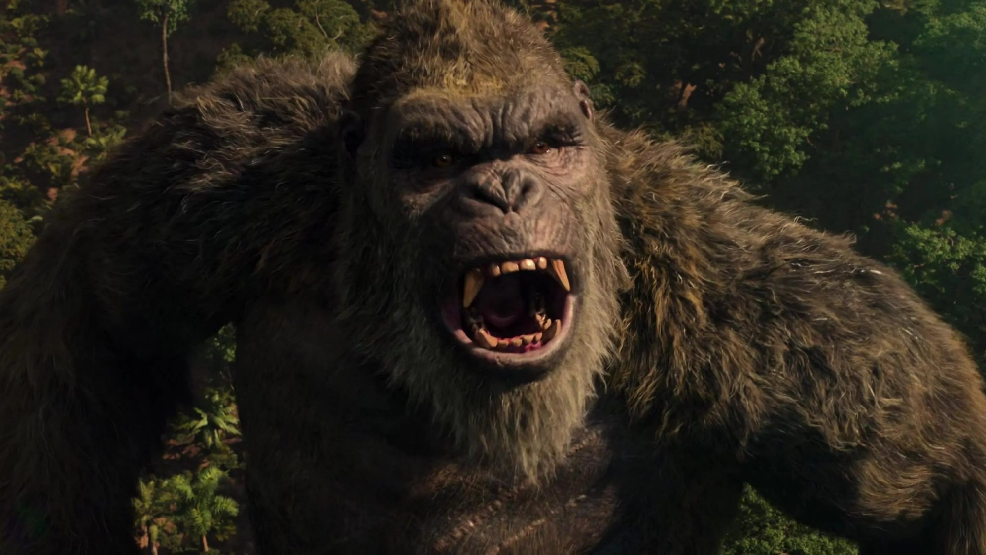 All 10 Versions of King Kong in Movies, Ranked by Power