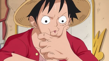 One Piece Anime Luffy