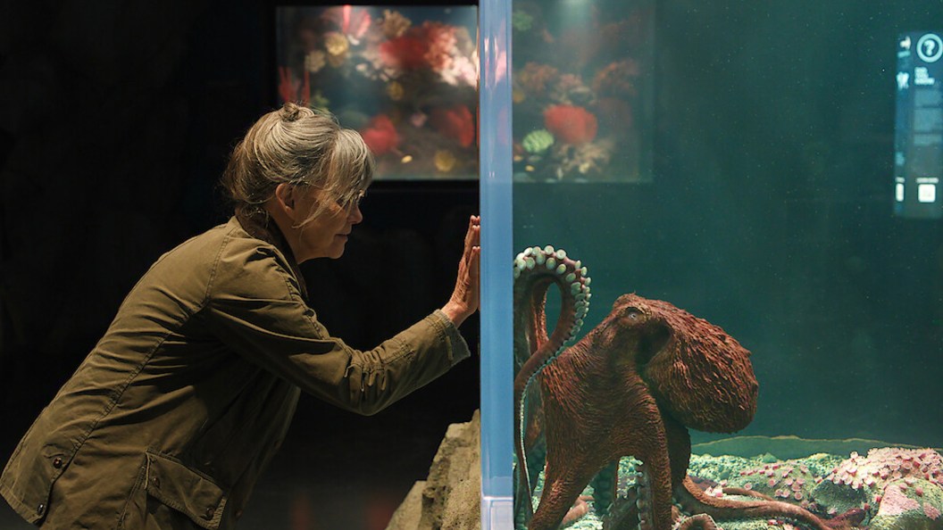Run, Don’t Walk, To Watch Netflix’s Best New Movie