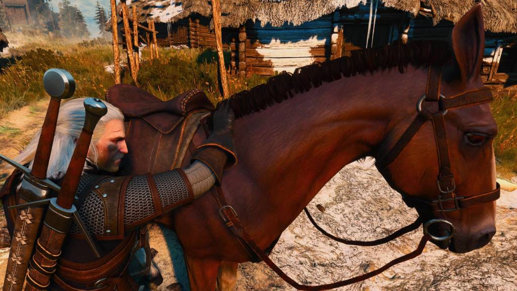 The Witcher 3 Wild Hunt Roach horse