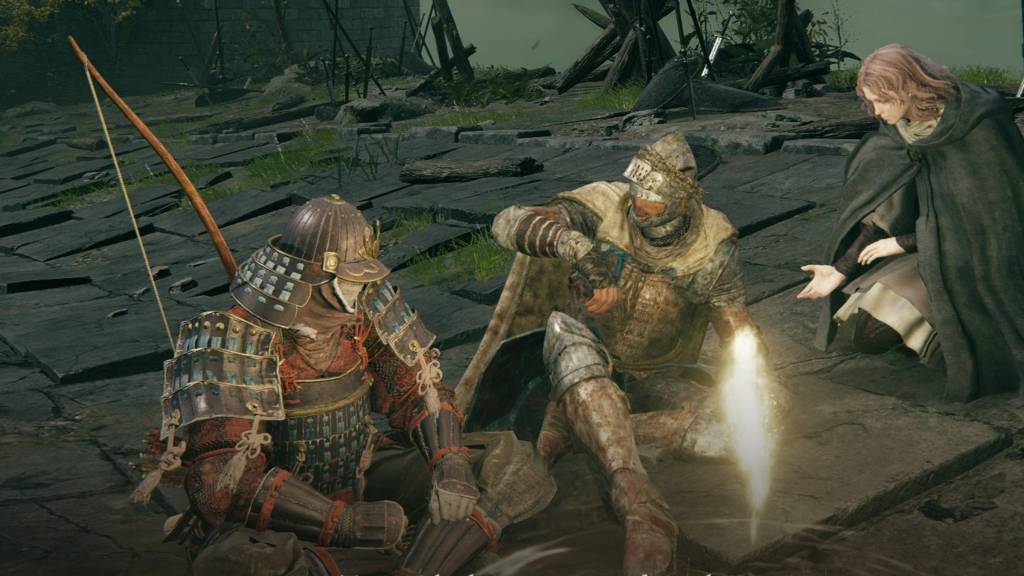 Elden Ring seamless co-op mod with two players