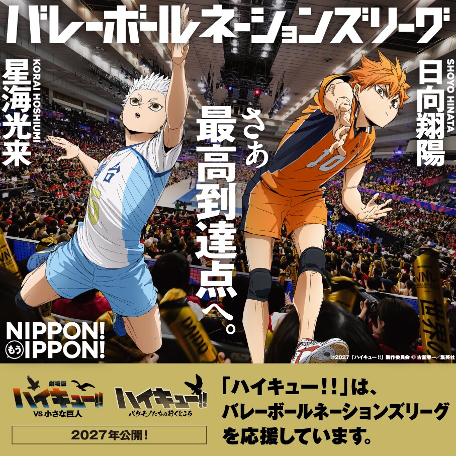 Haikyu Shoyo Little Giant