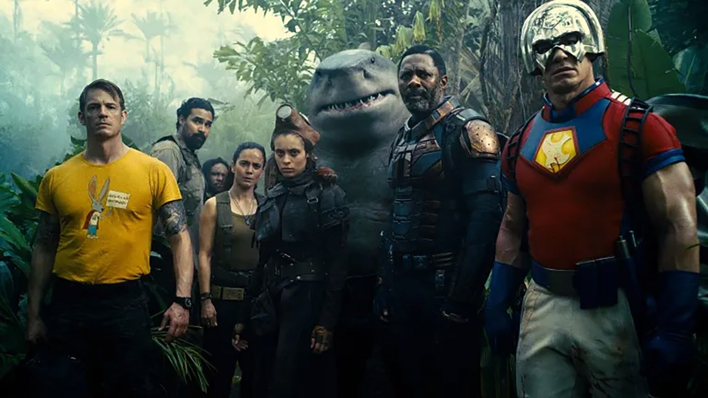 HBO Mistake Lists The Wrong Version of Suicide Squad (So Look Out)