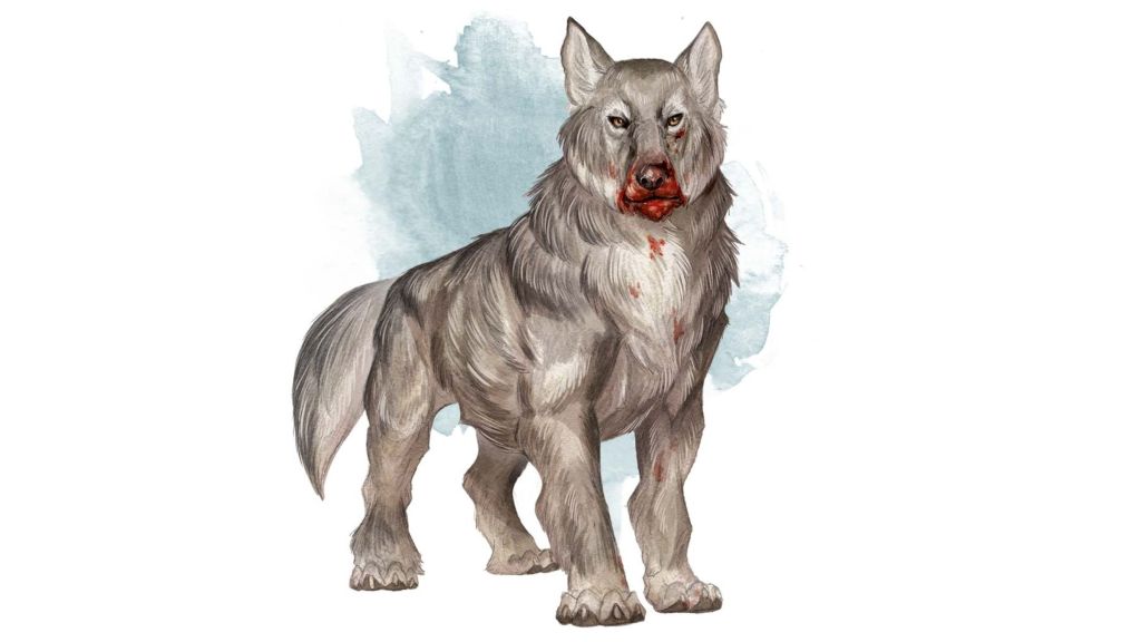 DnD Wolf