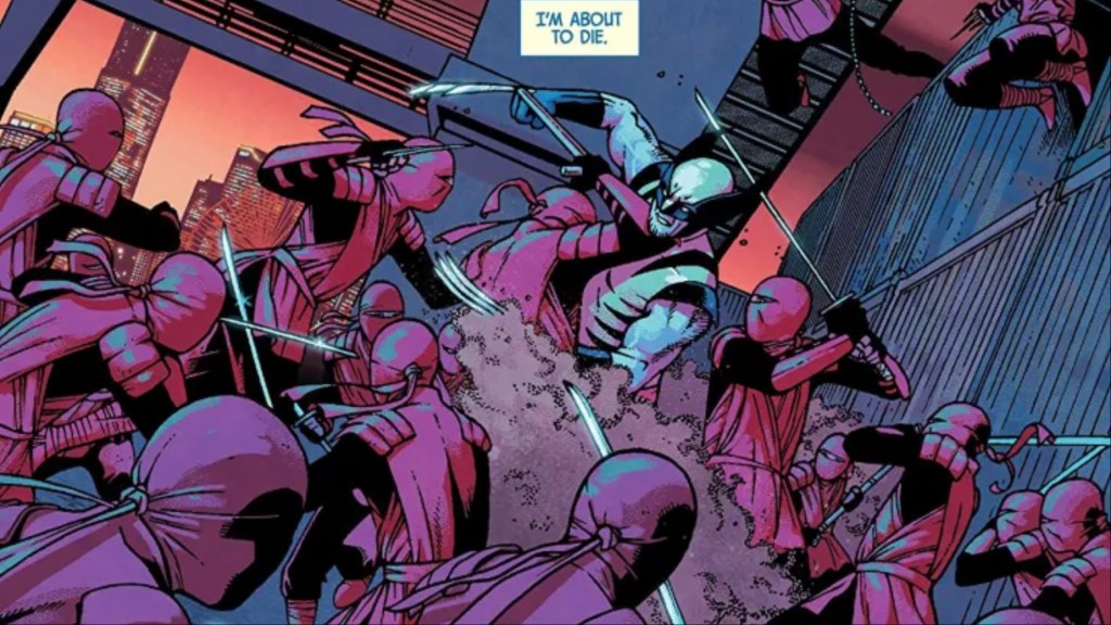 Wolverine fighting ninjas
