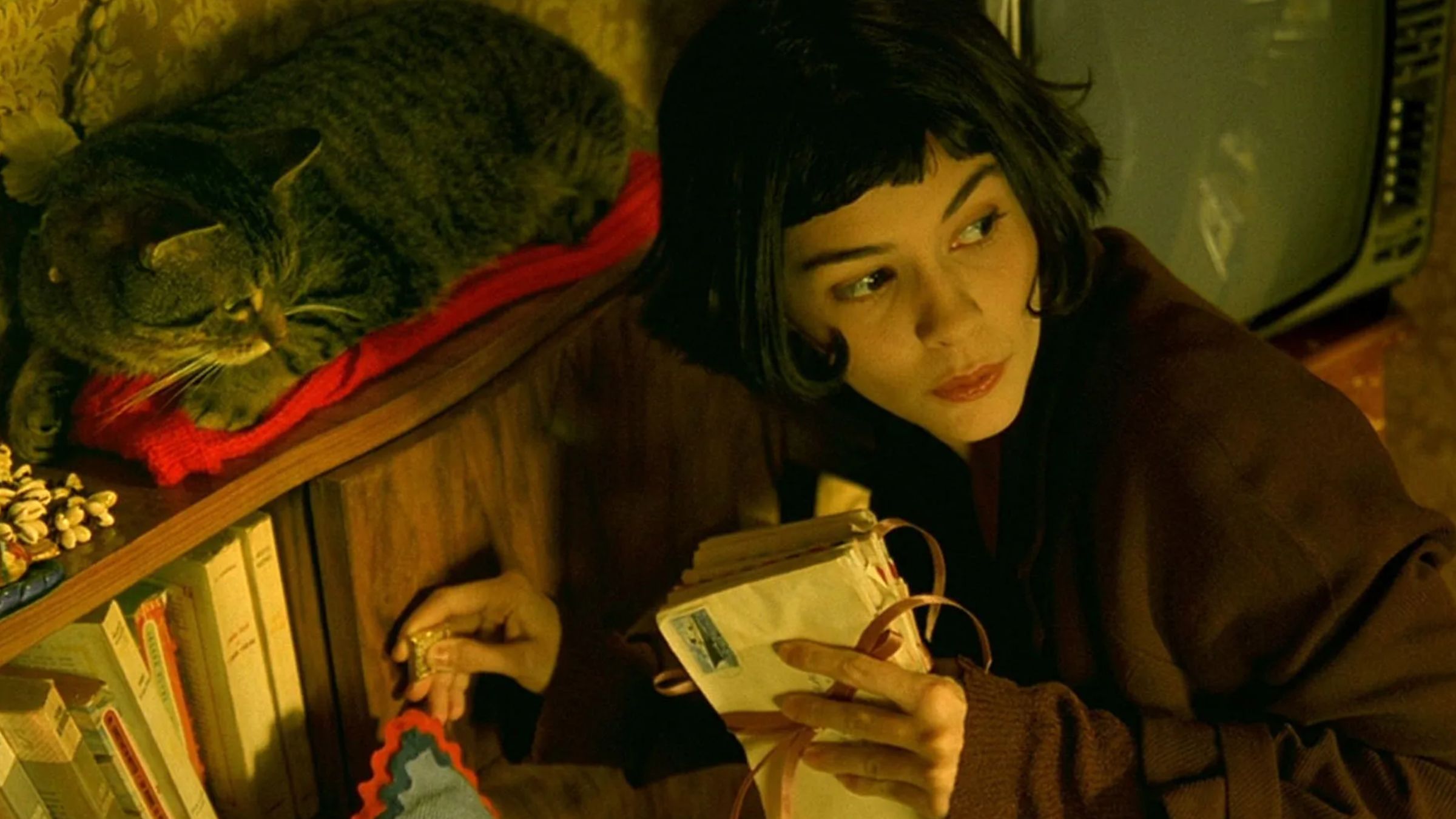 5 Perfect Cult Movies From 2001 That We're All Still Talking About ...