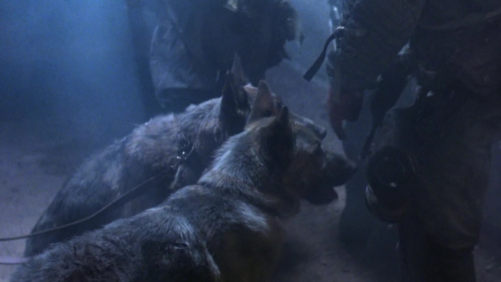 Dogs sniffing soldiers' hands in the future in The Terminator