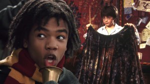 4 More Harry Potter Movie Characters Who Completely Disappeared (& Why)