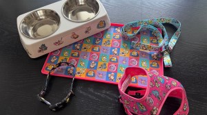Pokemon Playful Partners Line Brings Licensed Pet Gear That Doesn’t Feel Like a Joke
