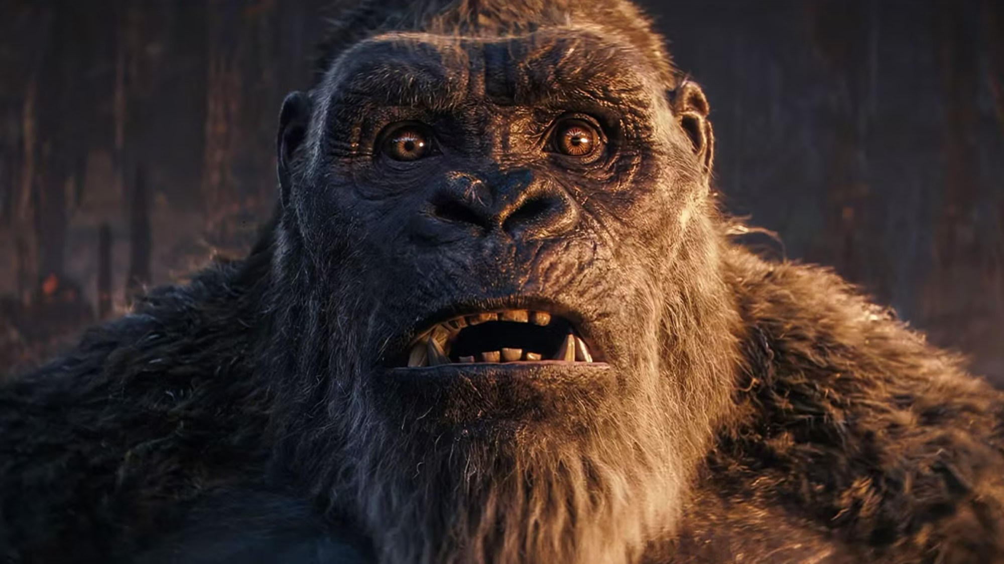 3 Monsterverse Plot Holes So Big a Kaiju Could Climb Through Them
