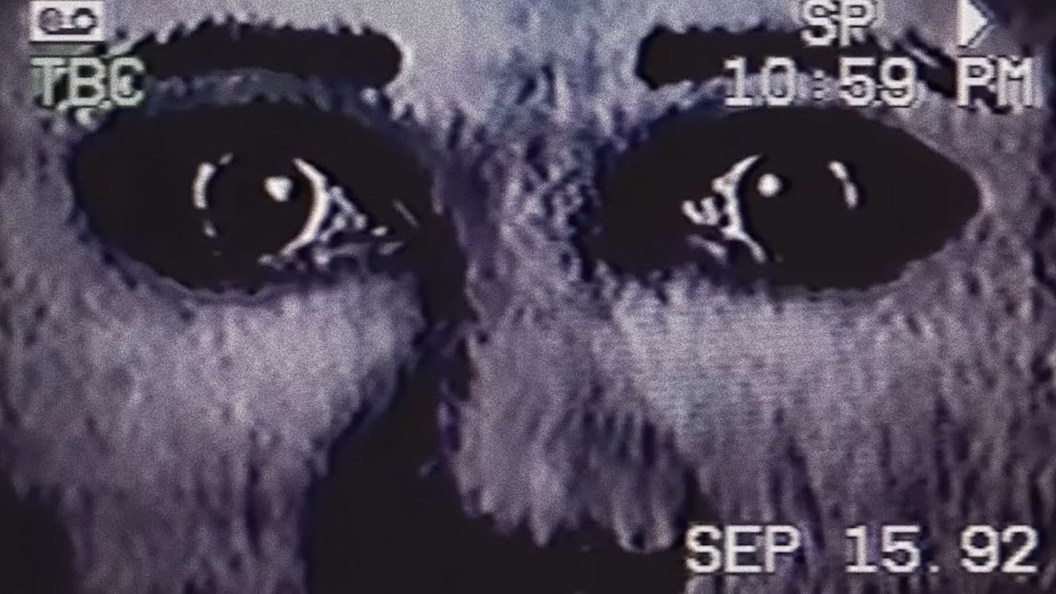 YouTube Horror Series The Mandela Catalogue Headed to the Big Screen From Steven Spielberg &amp; Amazon