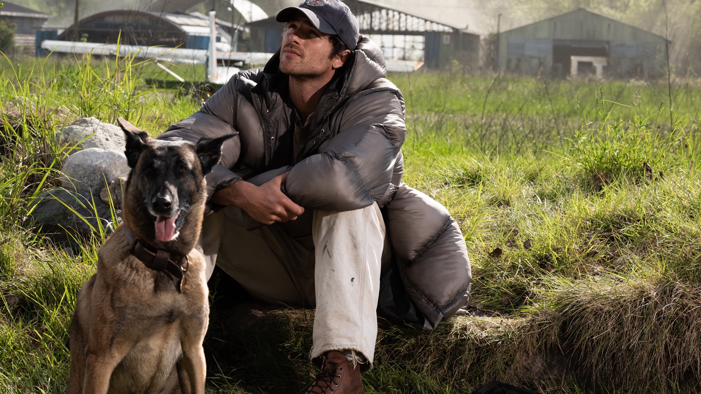 The Dog Stars Rotten Tomatoes Score Is Ridley Scott's Lowest In 12 ...