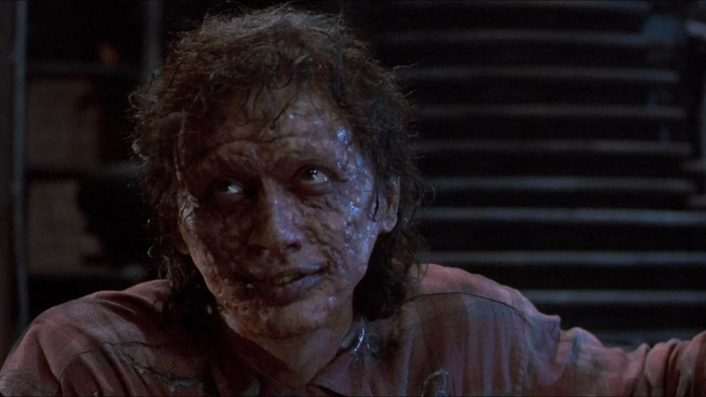 Jeff Goldman as the Fly