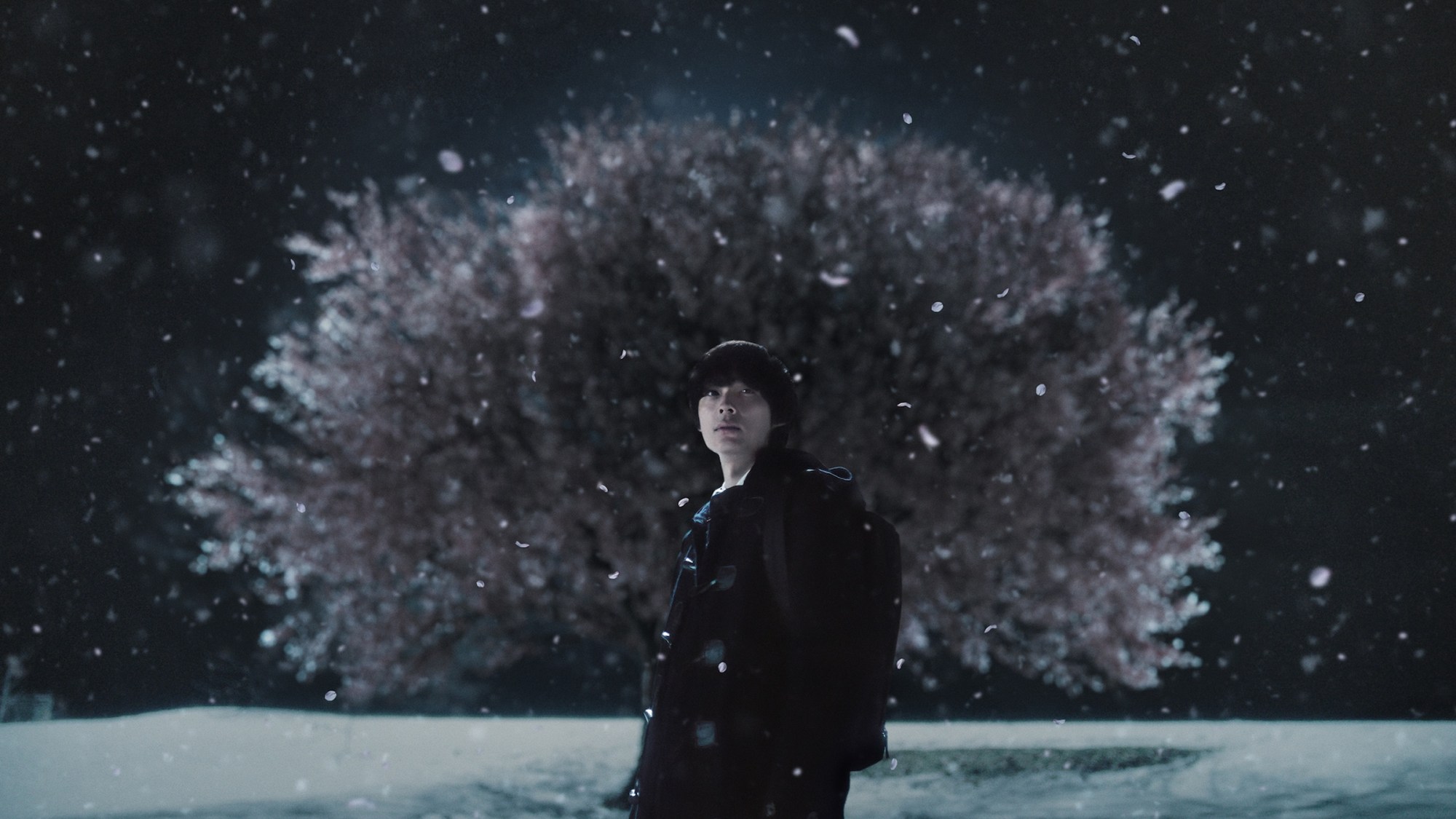 Shinkais Live-Action-Film „5 Centimeters per Second“ kommt am 23. Oktober 2026 in die US-Kinos