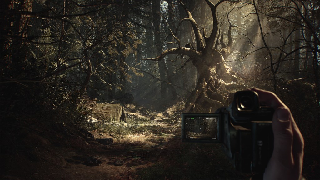 First-person view of the forest in the Blair Witch game