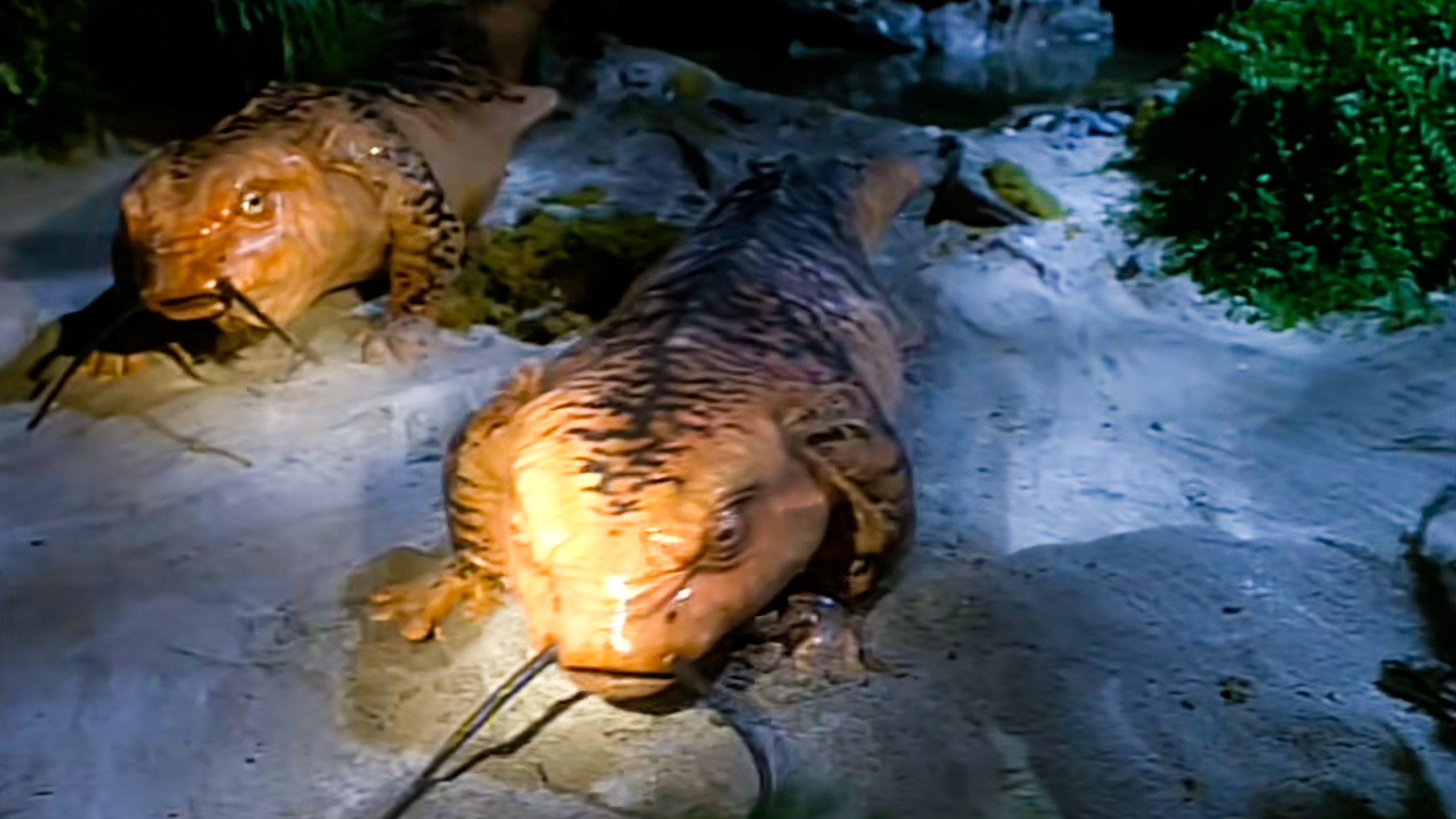 Newt Offspring Star Trek’s Salamander Episode Is Still Its Most Infamous & It Somehow ...